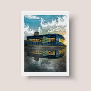 Cuadro Boca Juniors La Bombonera 08 - A3 30x40 Cm