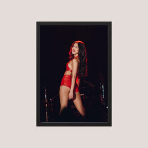 Cuadro Decorativo Olivia Rodrigo Lollapalooza 05 - A3 30x40