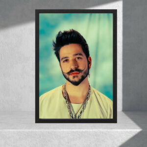 Cuadro Decorativo Musica - Camilo 06 - A3 30x40