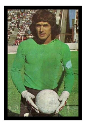 Cuadro Decorativo Futbol - Pato Fillol 04 - A3 30x40