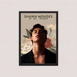 Cuadro Decorativo Shawn Mendes 11 - Tamaño A3 30x40