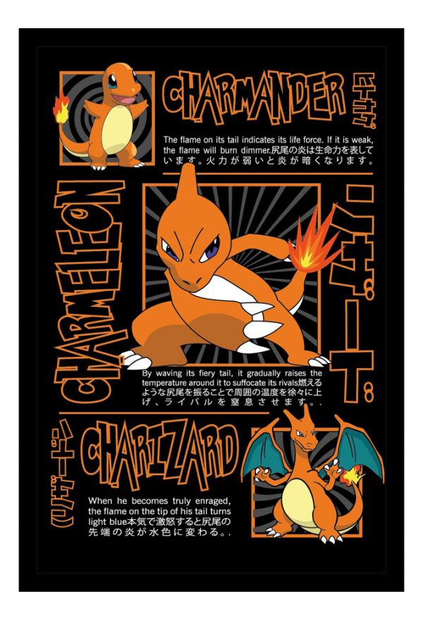 Cuadro Decorativo Series - Pokemon 13 - A3 30x40 Cm