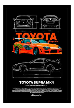 Cuadro Decorativo Cine - Rapidos Y Furiosos 01 - A3 30x40