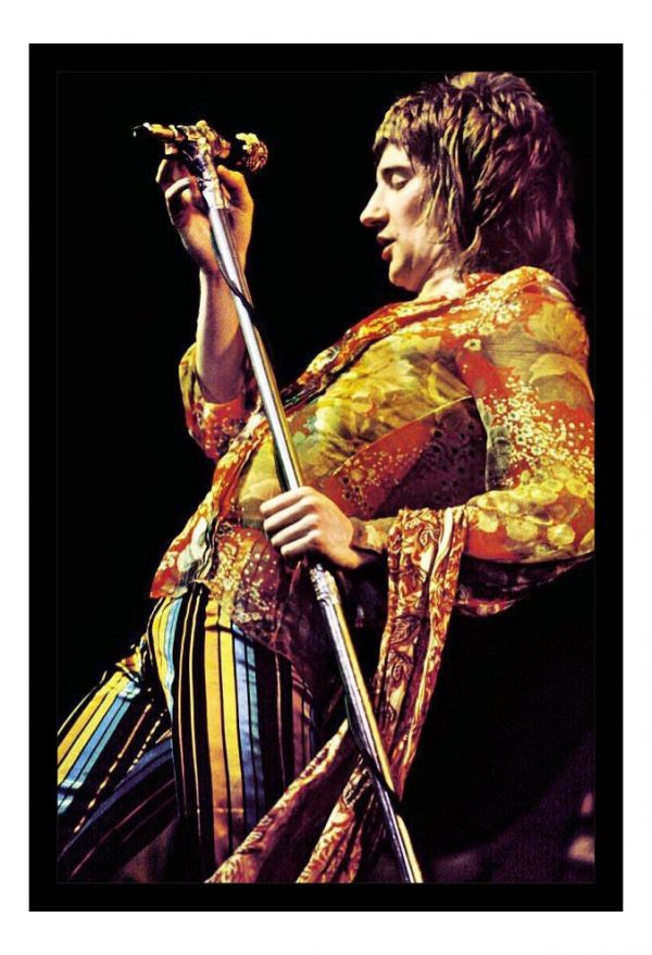 Cuadro Decorativo Musica - Rod Stewart 03 - A3 30x40 Cm