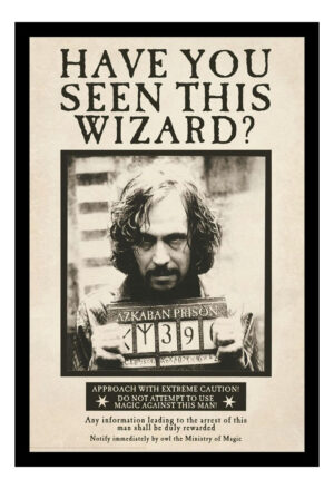 Cuadro Decorativo Cine - Harry Potter 17 - A3 30x40 Cm