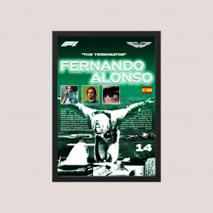 Cuadro F1 Fernando Alonso 03 - Tamaño A3 30x40 Cm