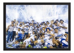 Cuadro Vélez Campeón Liga Profesional 2024 A3 40x30 Cm