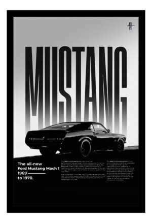 Cuadro Decorativo Automovilismo - Ford 08 - A3 30x40 Cm