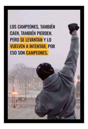 Cuadro Motivacional - Rocky Balboa 01 - A3 30x40 Cm