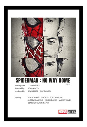 Cuadro Decorativo Cine - Spiderman No Way Home 06 - A3 30x40