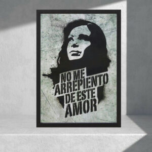 Cuadro Decorativo Cristina Kirchner Cfk 09 - A3 30x40