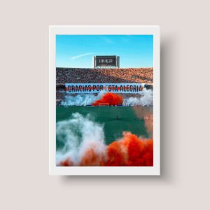 Cuadro River Plate Estadio Monumental 02 - Tamaño A3 30x40