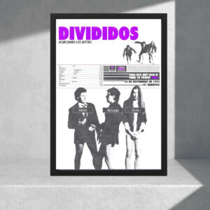 Cuadro Decorativo Musica - Divididos 02 - A3 30x40