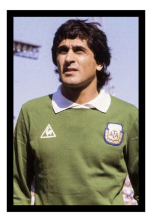 Cuadro Decorativo Futbol - Pato Fillol 03 - A3 30x40