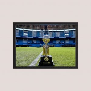 Cuadro Racing Campeón Recopa Sudamericana - Tamaño A3 30x40