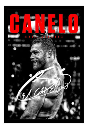 Cuadro Decorativo Boxeo - Canelo Alvarez 10 - A3 30x40 Cm