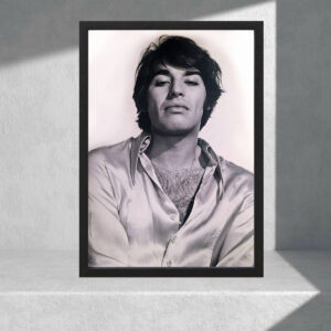 Cuadro Decorativo Música - Sandro 06 - Tamaño A3 30x40