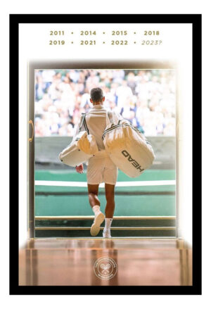 Cuadro Decorativo Tenis - Djokovic 05 - A3 30x40 Cm