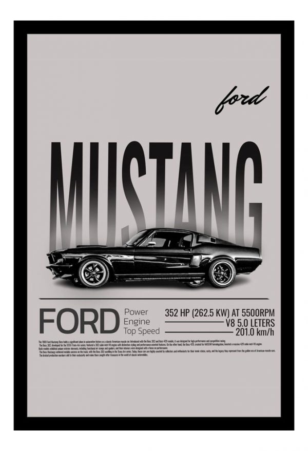 Cuadro Decorativo Automovilismo - Ford 09 - A3 30x40 Cm