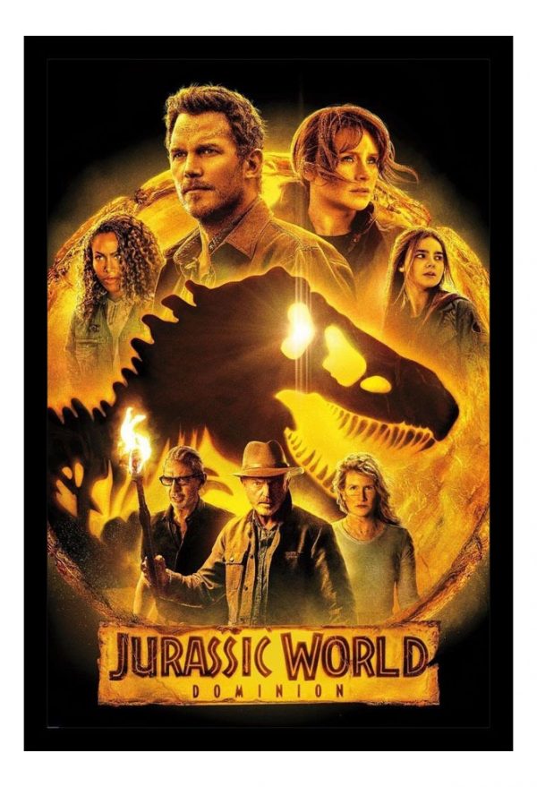 Cuadro Decorativo Cine - Jurassic Park 09 - A3 30x40