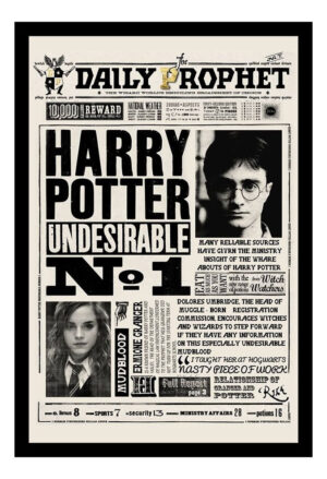 Cuadro Decorativo Cine - Harry Potter 19 - A3 30x40 Cm