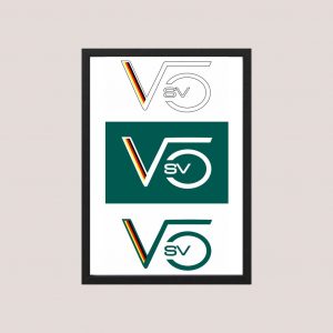 Cuadro Decorativo Sebastian Vettel 06 - Tamaño A3 30x40 Cm