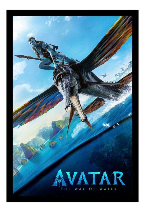 Cuadro Decorativo Cine - Avatar 02 - A3 30x40 Cm