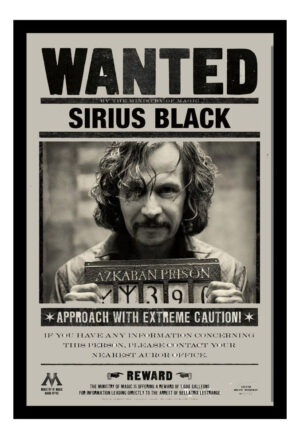 Cuadro Decorativo Cine - Harry Potter 22 - A3 30x40 Cm