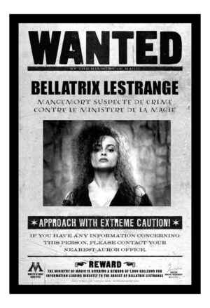 Cuadro Decorativo Cine - Harry Potter 13 - A3 30x40 Cm