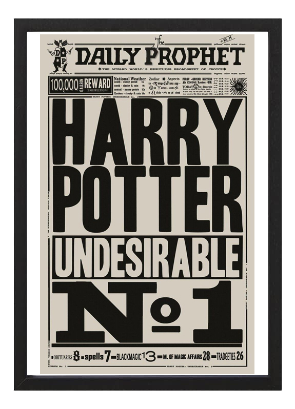 Cuadro Harry Potter Indeseable N°1 - Tamaño A3 30x40 Cm