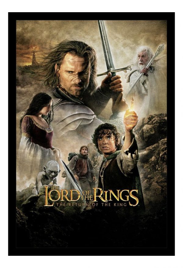 Cuadro Decorativo Cine - El Señor De Los Anillos 05 A3 30x40