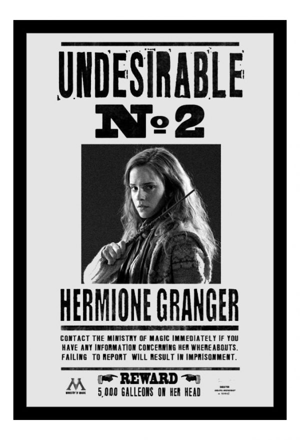 Cuadro Decorativo Cine - Harry Potter 18 - A3 30x40 Cm