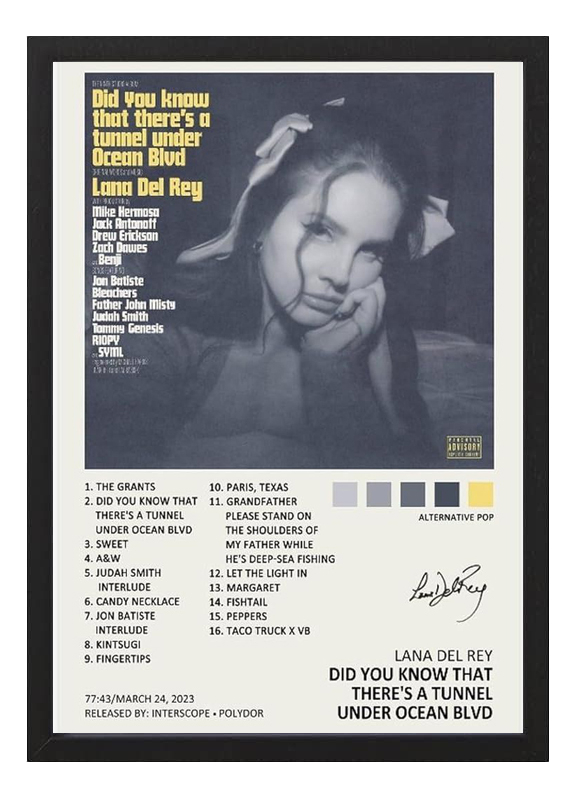 Cuadro Lana Del Rey Did You Know A4 20x30 Listo Para Colgar