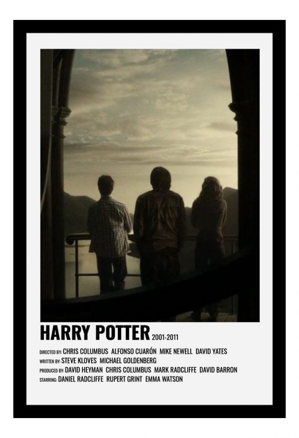 Cuadro Decorativo Cine - Harry Potter 02 - A3 30x40 Cm