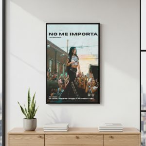 Cuadro Decorativo Musica - Lali No Me Importa - A3 30x40 Cm