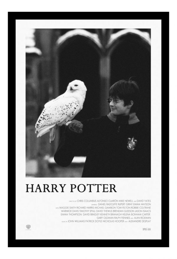 Cuadro Decorativo Cine - Harry Potter 23 - A3 30x40 Cm