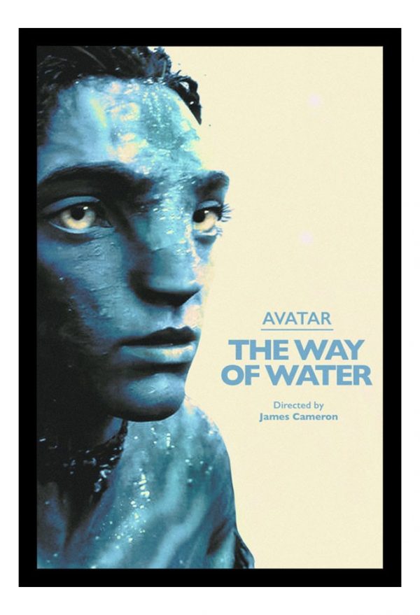 Cuadro Decorativo Cine - Avatar 11 - A3 30x40 Cm