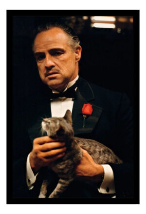 Cuadro Decorativo Cine - El Padrino 12 - A3 30x40 Cm