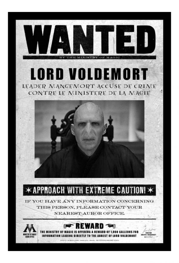 Cuadro Decorativo Cine - Harry Potter 14 - A3 30x40 Cm