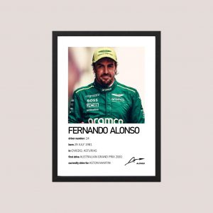 Cuadro F1 Fernando Alonso 04 - Tamaño A3 30x40 Cm