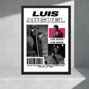 Cuadro Decorativo Música - Luis Miguel 02 - A3 30x40