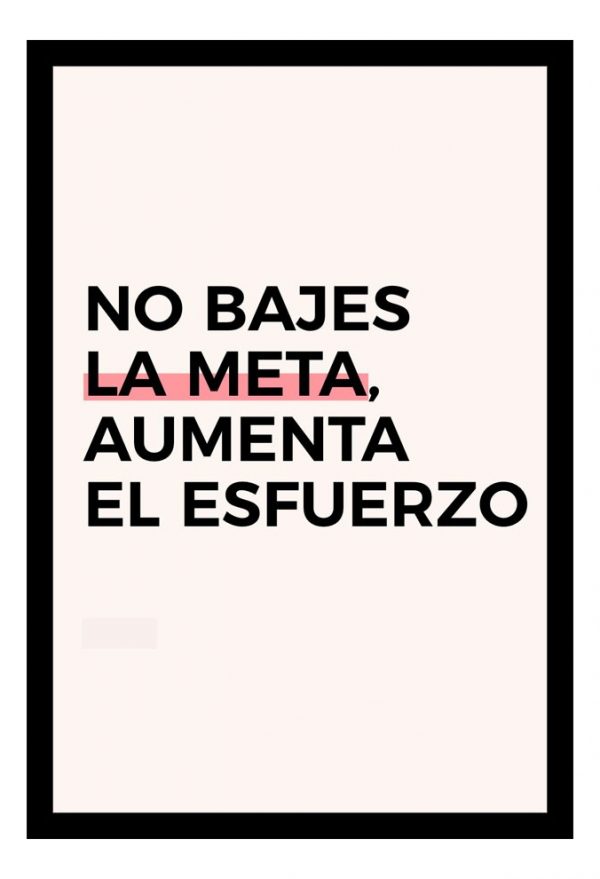 Cuadro Decorativo Motivacional 18 - A3 30x40 Cm