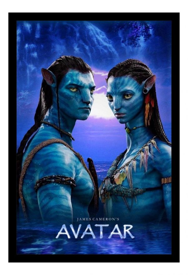 Cuadro Decorativo Cine - Avatar 14 - A3 30x40 Cm