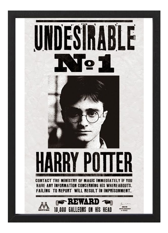 Cuadro Harry Potter Indeseable N°1 - Tamaño A3 30x40