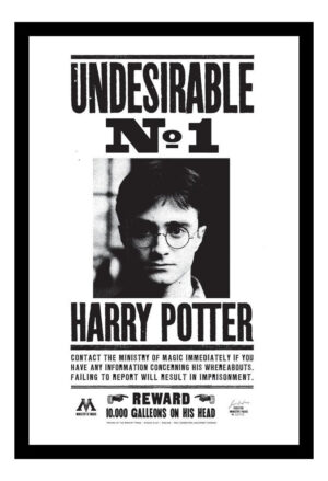 Cuadro Decorativo Cine - Harry Potter 20 - A3 30x40 Cm
