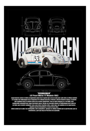 Cuadro Decorativo Automovilismo - Volskwagen 17 - A3 30x40