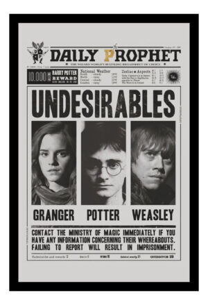 Cuadro Decorativo Cine - Harry Potter 12 - A3 30x40 Cm