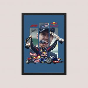 Cuadro Decorativo Sebastian Vettel 10 - Tamaño A3 30x40 Cm