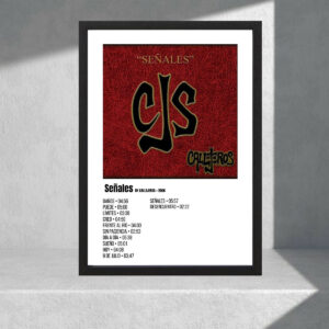Cuadro Decorativo Callejeros, Señales - Tamaño A3 30x40