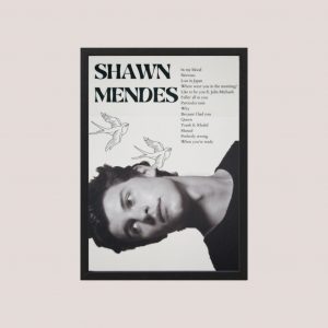 Cuadro Decorativo Shawn Mendes 01 - Tamaño A3 30x40
